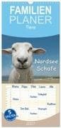 Familienplaner 2027 - Nordsee Schafe mit 5 Spalten (Wandkalender, 21 x 45 cm) CALVENDO