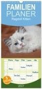 Familienplaner 2027 - Ragdoll Kitten mit 5 Spalten (Wandkalender, 21 x 45 cm) CALVENDO
