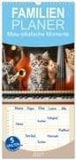 Familienplaner 2027 - Miau-sikalische Momente mit 5 Spalten (Wandkalender, 21 x 45 cm) CALVENDO