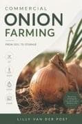 Commercial Onion Farming