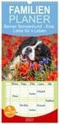 Familienplaner 2027 - Berner Sennenhund - Eine Liebe für´s Leben mit 5 Spalten (Wandkalender, 21 x 45 cm) CALVENDO