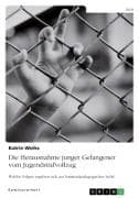 Die Herausnahme junger Gefangener vom Jugendstrafvollzug. Welche Folgen ergeben sich aus kriminalpädagogischer Sicht?