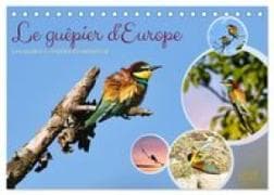 Le guêpier d'Europe (Calendrier de bureau 2027 DIN A5 vertical), CALVENDO calendrier mensuel