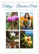 Cattleya - Breeder's Pride (Wall Calendar 2027 DIN A4 portrait), CALVENDO 12 Month Wall Calendar