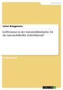Lobbyismus in der Automobilindustrie. Ist die Automobillobby federführend?
