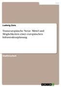 Transeuropäische Netze. Mittel und Möglichkeiten einer europäischen Infrastrukturplanung
