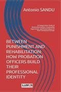 Between Punishment and Rehabilitation
