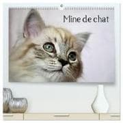 Mine de chat (Calendrier mural haut de gamme 2027 DIN A2 vertical), CALVENDO calendrier mensuel