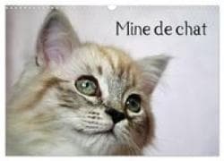 Mine de chat (Calendrier mural 2027 DIN A3 vertical), CALVENDO calendrier mensuel
