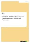 The Effects of Intrinsic Motivation and Extrinsic Incentives on Employee Performance