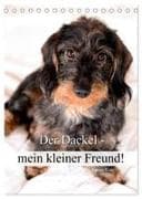 Der Dackel - mein kleiner Freund (Tischkalender 2027 DIN A5 hoch), CALVENDO Monatskalender