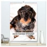 Der Dackel - mein kleiner Freund (hochwertiger Premium Wandkalender 2027 DIN A2 hoch), Kunstdruck in Hochglanz