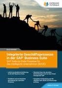 Integrierte Geschäftsprozesse in der SAP Business Suite - SAP-Ende-zu-Ende-Business-Prozesse für das intelligente Unternehmen (IEE2E)