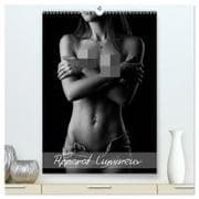 Apparat lumineux (Calendrier mural haut de gamme 2027 DIN A2 horizontal), CALVENDO calendrier mensuel