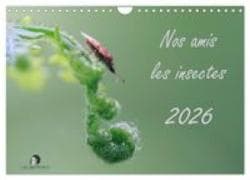 Nos amis les insectes (Calendrier mural 2027 DIN A4 vertical), CALVENDO calendrier mensuel