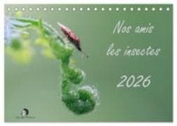 Nos amis les insectes (Calendrier de bureau 2027 DIN A5 vertical), CALVENDO calendrier mensuel