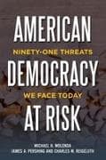 American Democracy at Risk