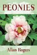 Peonies
