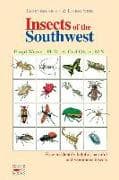 Insects Of The Southwest
