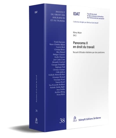 Panorama II en droit du travail